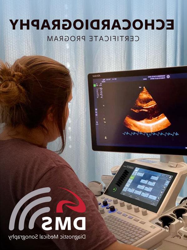 Echocardiography Certificate Program 